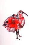 monoprint 'The Exotic Other' by artist Yvonne Nevard